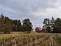 Mack's Apples in October 2021 5