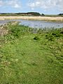 Marazion Marsh Reserve - geograph.org.uk - 782113