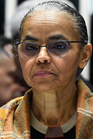 Marina Silva 2024 (cropped).jpg