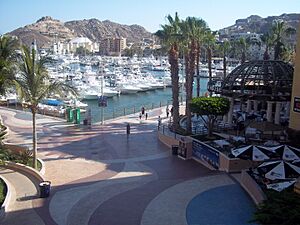 Marina en Cabo San Lucas