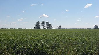 Mayberry Mound and Village Site.jpg