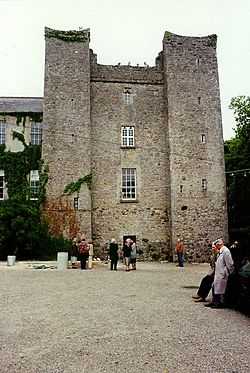 Medieval Tower House at Dardistown, Co. Meath - geograph.org.uk - 615838