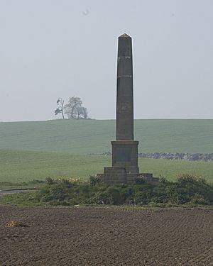 Monument to the Battle of Marston Moor - geograph.org.uk - 903802
