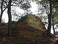 Mur Castell de Puigdelfí