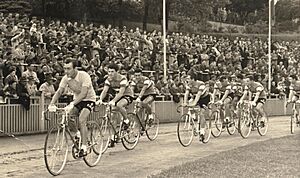 Nelux Equipe 1958 um Stadion 1