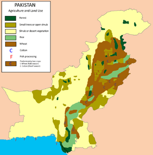 Pakistan Agriculture