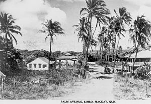 Palm Avenue, Eimeo, 1950