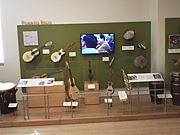 Phoenix-Musical Instrument Museum-Puerto Rico Exhibit-3