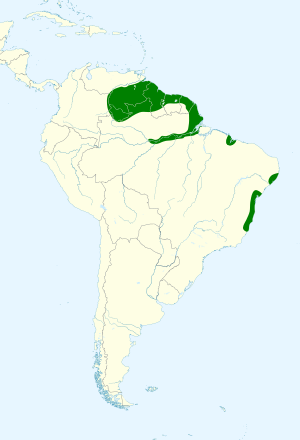 Picumnus exilis map.svg