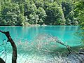 Plitvice Lakes National Park - Plitvička jezera (July 2008)