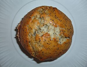Poppy seed muffin