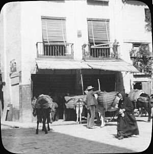 Posada, Cordoba - Sigurd Curman