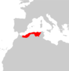 Psammodromus blanci range Map.png