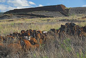 Pu'ukoholā Heiau National Historic Site2