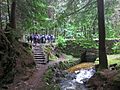 Puck's Glen at foot of the path