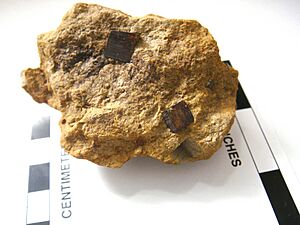 PyOx