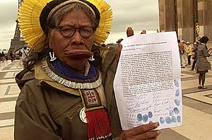 RAONI et sa pétition internationale contre le barrage de Belo Monte