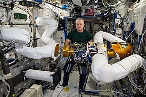 Robonaut upgrade