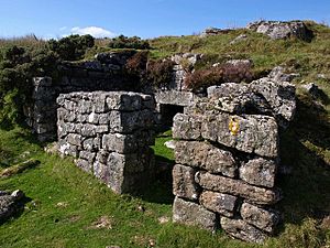 Ruined building, Whiteworks - geograph.org.uk - 1501138