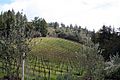SantaCruzMountains