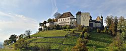 Schloss Lenzburg - Gesamtansicht1.jpg