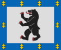 Siauliai County flag