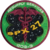 SpaceX CRS-27 Patch.png