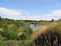 Stantons Pit Nature Reserve - geograph.org.uk - 203228