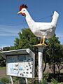 The Big Chook, Moonbi