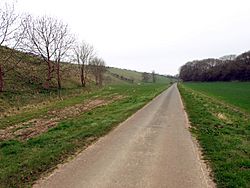 The road to Fordon - geograph.org.uk - 1804227.jpg