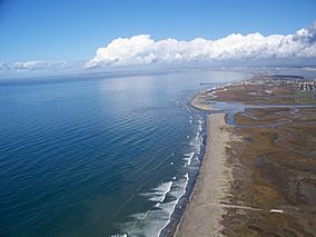 Tijuana River National Estuarine Research Reserve coastline.jpg