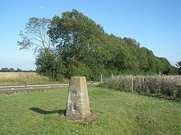 Trig point, on Dunstable Downs - geograph.org.uk - 1440937.jpg