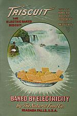 Triscuit 1903 Advertisement