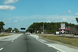 Northbound College Road (NC 132/US 117) passing through the CDP.  A half mile (0.8 km) beyond lies the eastern terminus of Interstate 40.