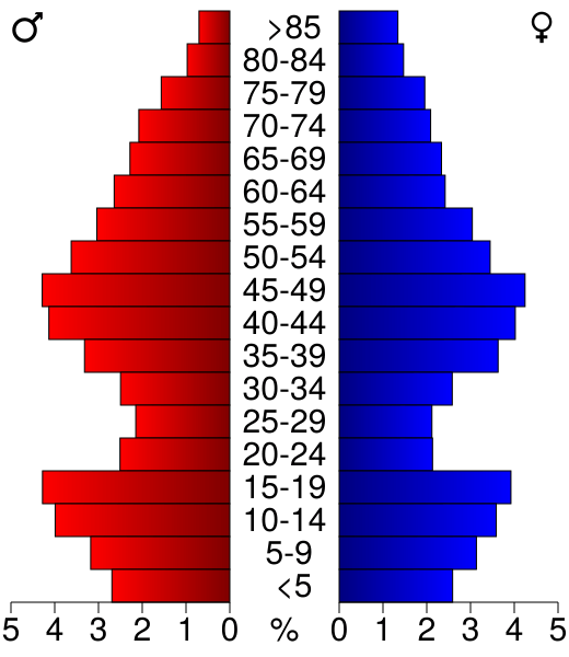 USA Itasca County, Minnesota age pyramid