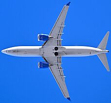 United Boeing 737-8 MAX N17322 planform