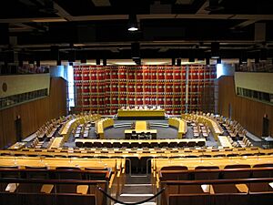 United Nations Economic and Social Council