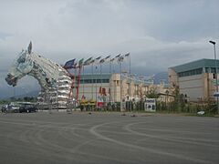 Viareggio, Cittadella del Carnevale