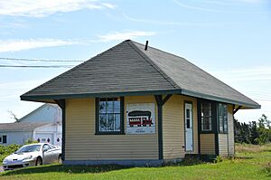 WesternBayNL RailwayStation
