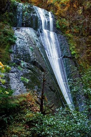 Wolf Creek Falls (Douglas County, Oregon scenic images) (douDA0048a).jpg