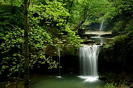 هفت آبشار جنگلهای هیرکانی روستای تیرکن شهرستان بال