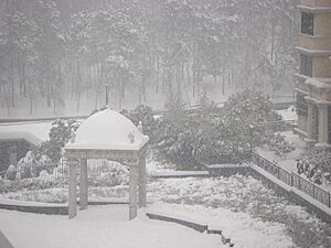 2008 China storms Anhui 6