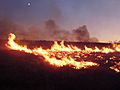 2011-08-04 20 00 00 Susie Fire in the Adobe Range west of Elko Nevada
