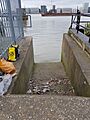 2018 Charlton Riverside 29