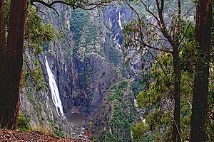 A219, Oxley Wild Rivers National Park, Australia, Wollomombi and Chandler Falls, 2007