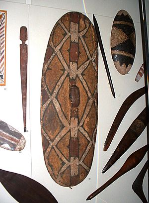 Australian Aboriginal shield