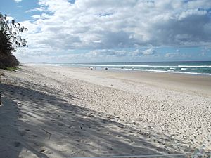 Beach, Ocean Shores, NSW 2014