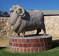 Big Ram in Karoonda.jpg