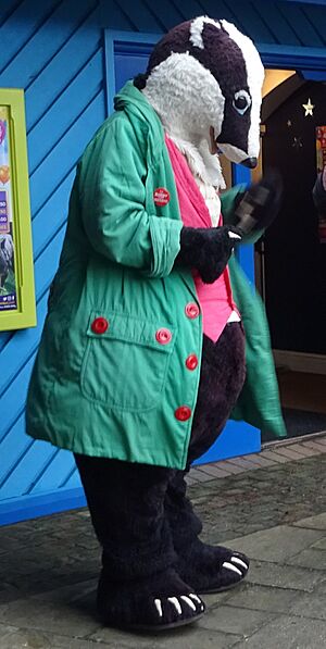 Blackgang Chine badger final appearance 2018