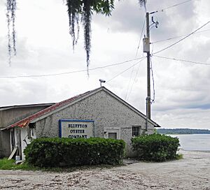 Bluffton Historic District